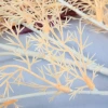 Simulated fog and rime ice wedding photography decoration, simulated flower ceiling flower path leading wedding flower home decoration, ins style wedding decoration soft furnishing, wedding decoration artificial flowers, artificial flowers Application Scenario